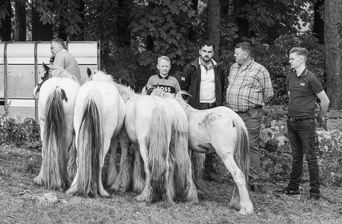 Borris Horse Fair 2023 (by Finbarr)